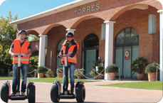 Torres Tour Torres Tour