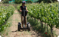 Wine Tours Segway